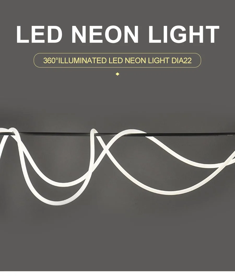 360°illuminated LED Neon Light Dia22