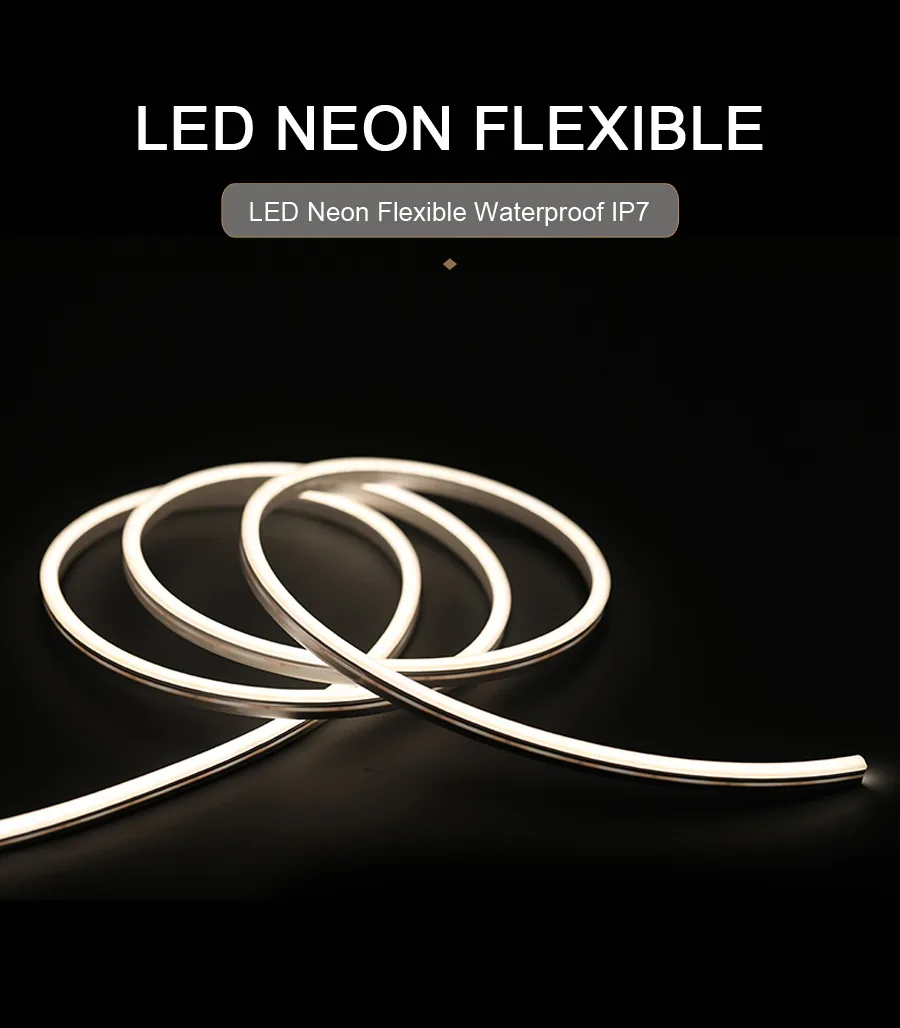 LED Neon Flexible HM-12*20mm Waterproof IP67