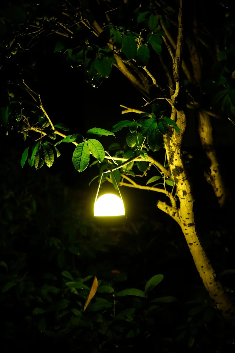 Revolutionizing Mosquito Control: The Science Behind Armor Lighting's 570nm Repellent Technology
